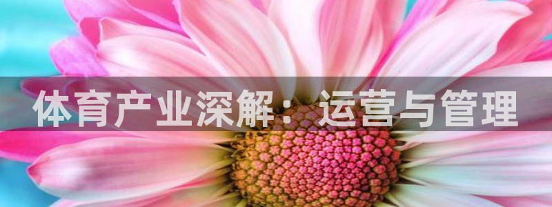 必一体育app下载最