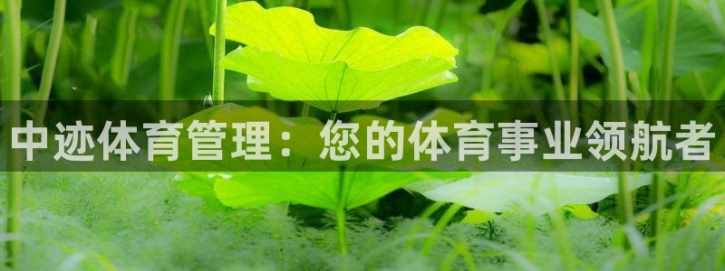必一运动官网装机吧