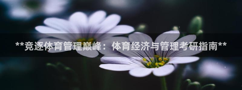 必一体育app下载最