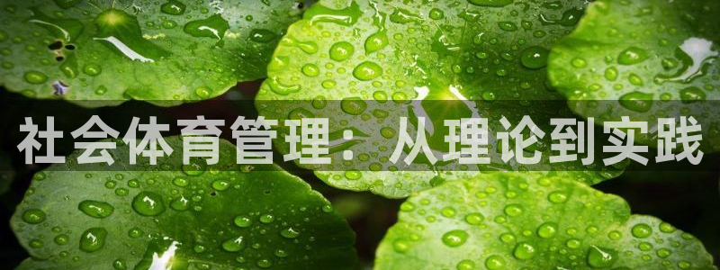 必一运动官网登录入口