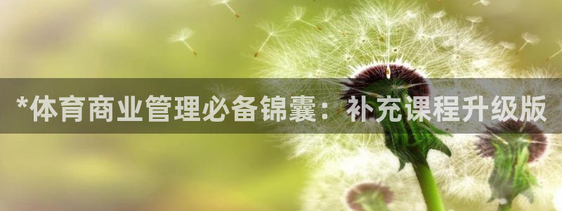必一体育sport装机吧