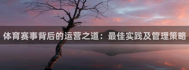 必一体育网页版登录：