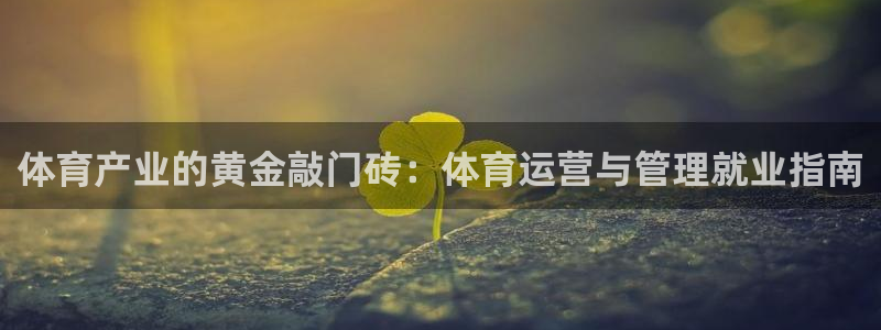 必一体育官网app