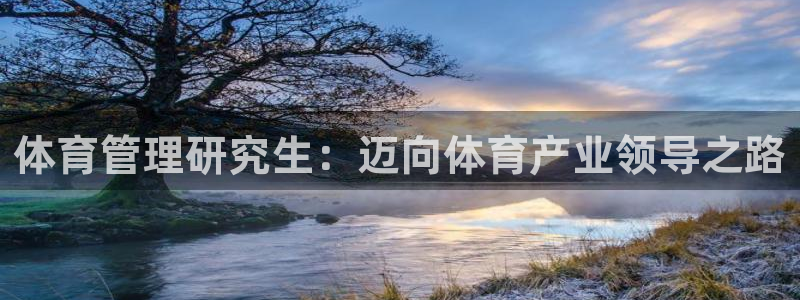 必一体育怎么下载