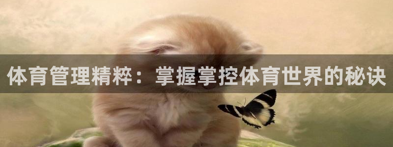 必一运动B-Sport官方网站入口
