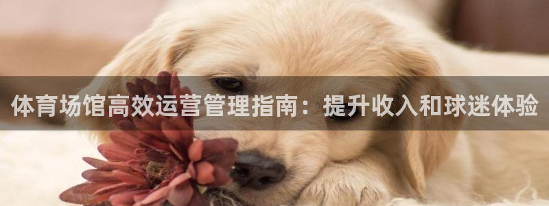 必一体育下载入口：体