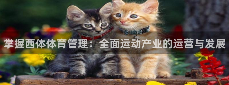 必一体育黑平台
