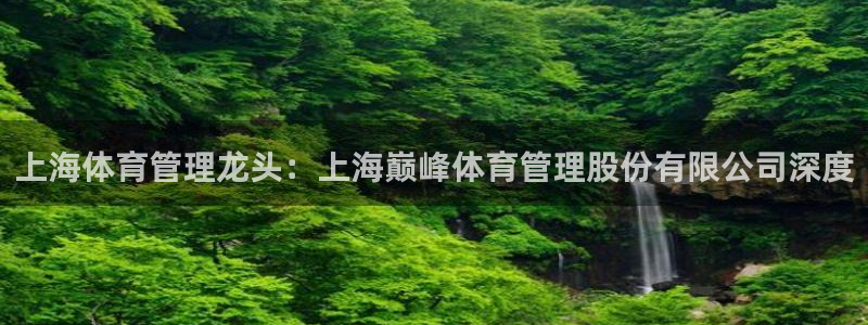 必一体育下载意思：上