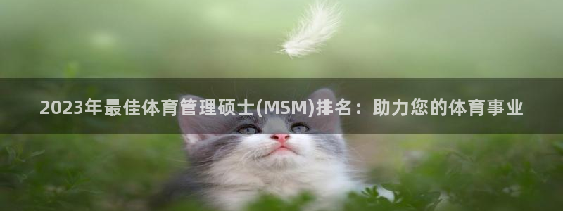 必一体育官方app下