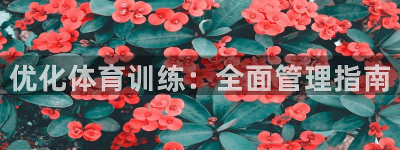 Bsport体育必一