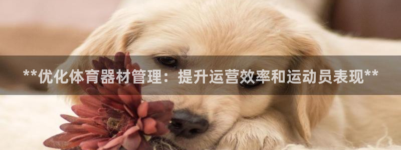 必一体育运动平台官网