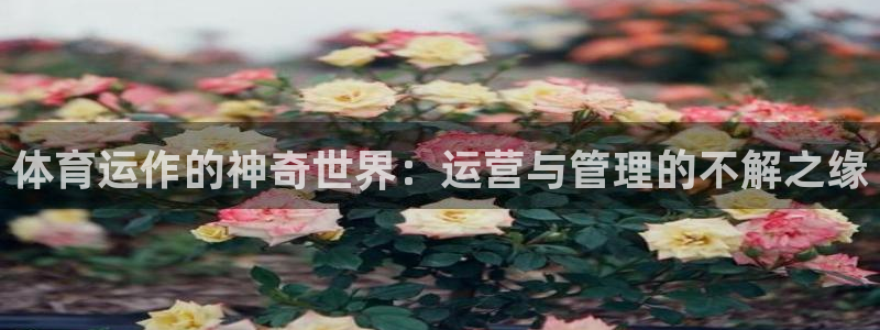 必一体育在线入口