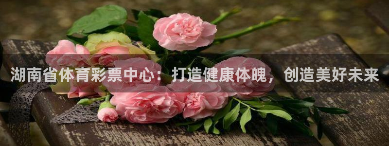 必一体育下载入口：湖
