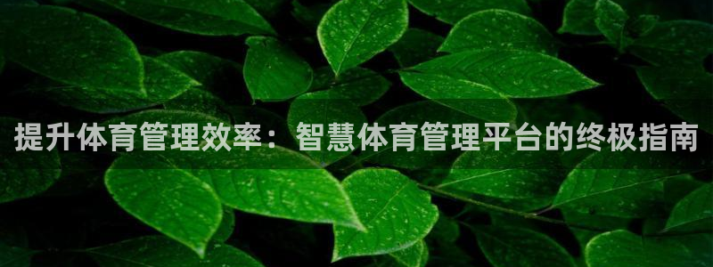 必一体育运动官网：提