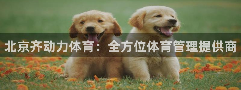 必一体育是啥