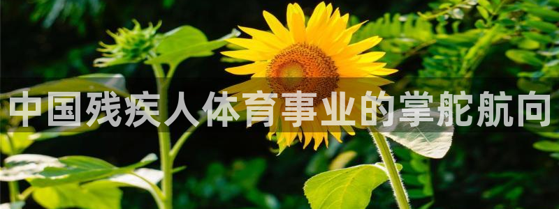 必一体育验证码