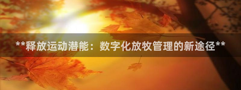 必一体育app下载装机吧