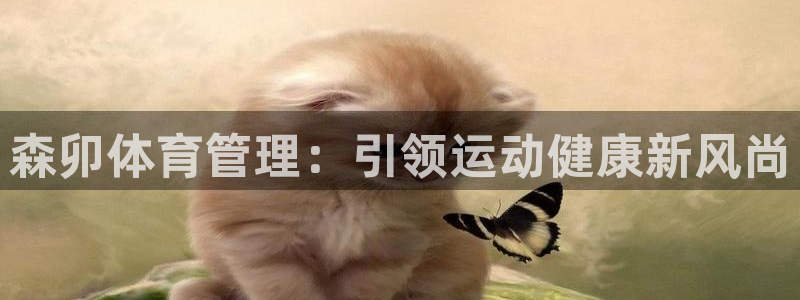 必一体育登陆：森卯体