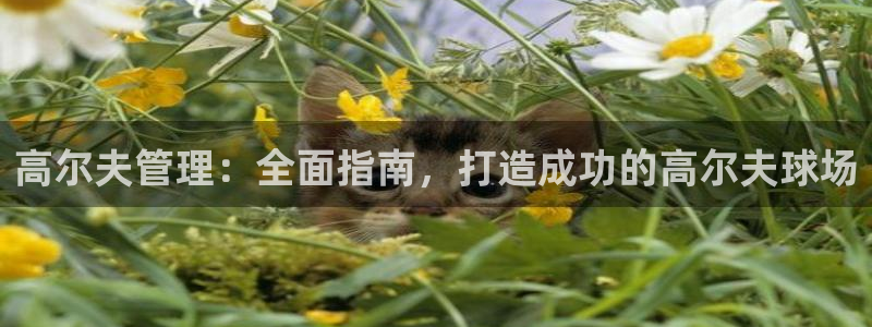 必一体育sport装