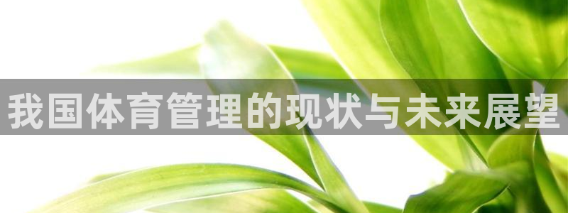 必一体育app官方正