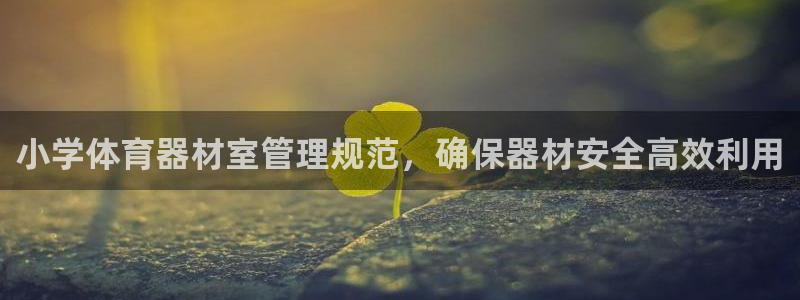 必一体育下载登入：小