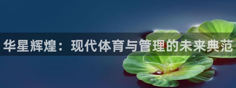 必一体育app平台下