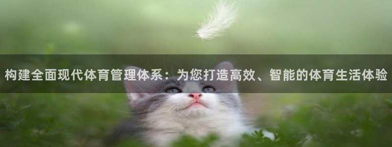 必一体育黑钱：构建全
