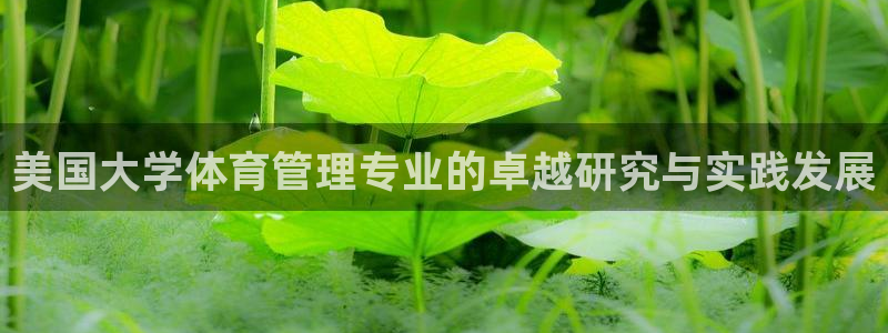 必一体育app官方下