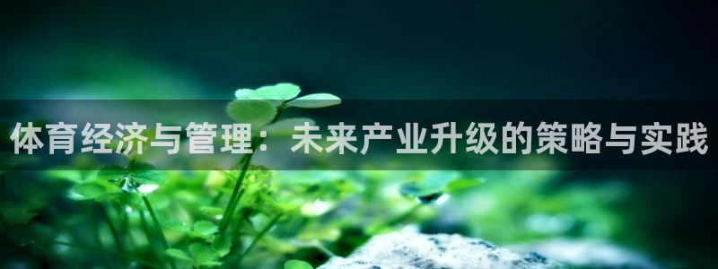 Bsport体育必一