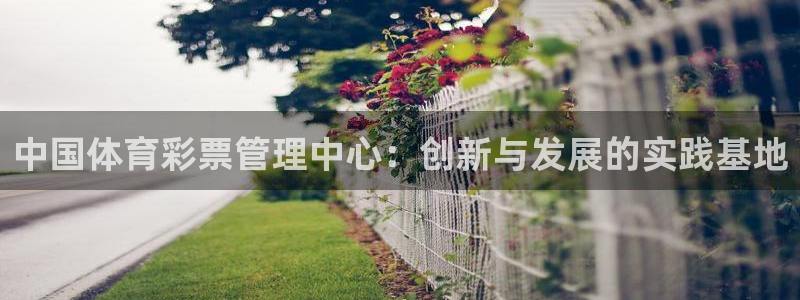 必一体育下载意思：中