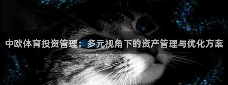 必一运动官网：中欧体育投资管理：多元视角下的资产管理与优化方