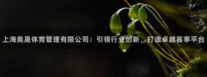 必一运动 b 体育素