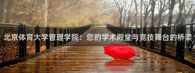 必一体育运动平台官网