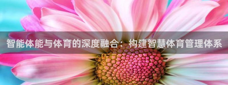 必一体育登录入口AP