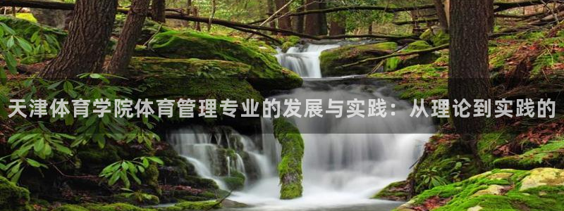 必一体育app平台下