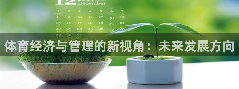 必一体育APP：体育