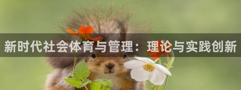 必一体育app平台下