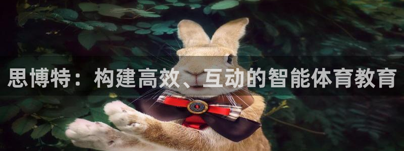 必一体育官方下载入口