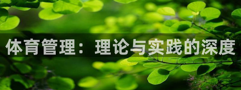 必一体育是哪里的台子