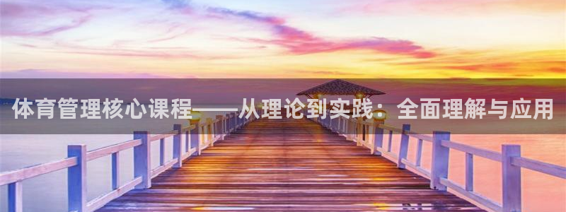 必一体育在哪下：体育