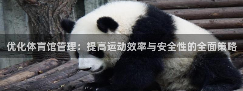 必一运动·(B-Sp