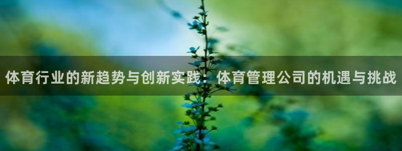 必一运动·(b-sp