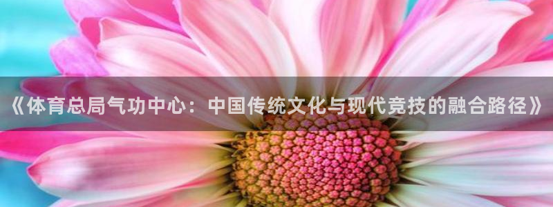 必一体育登录：《体育