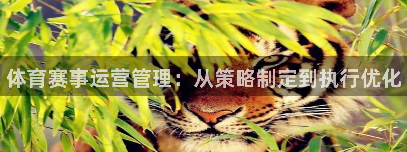 必一运动验证码：体育