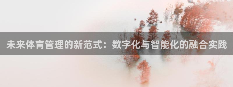 必一体育官网网站：未