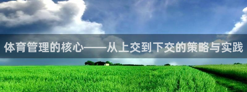 b体育必一运动网页版