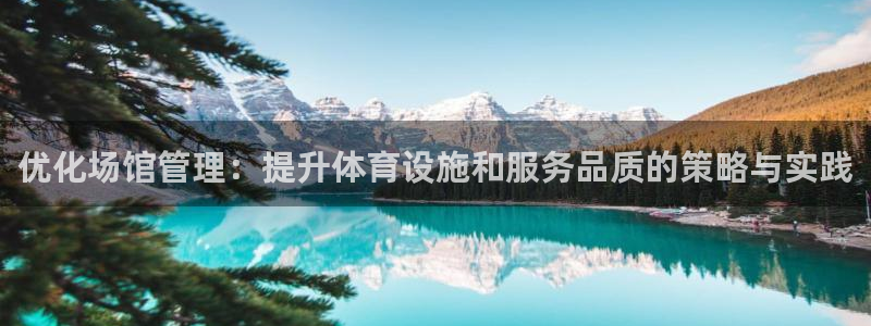 必一体育app官方下