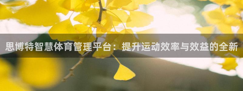 必一体育旧版：思博特