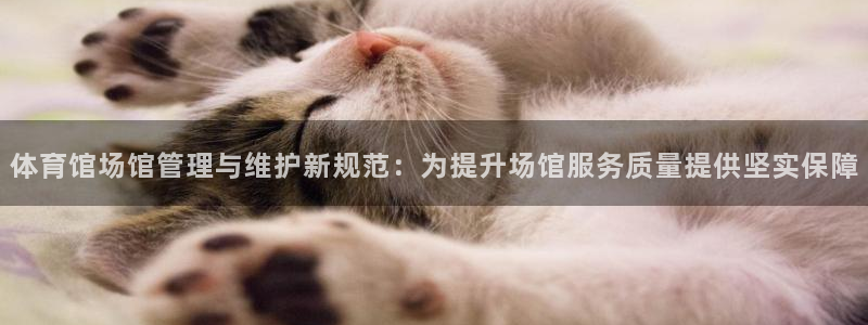 必一体育官方网站入口