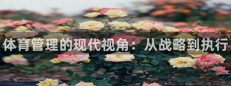 必一体育官方网站入口
